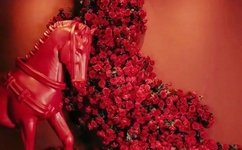 爱人 韩国电影快播